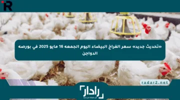 «تحديث جديد» سعر الفراخ البيضاء اليوم الجمعة 16 مايو 2025 في بورصة الدواجن